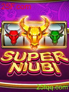 SuperNiubi